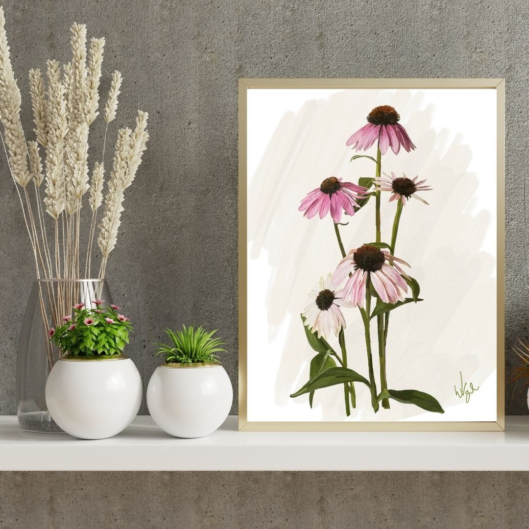 Boho Pink Echinacea Cone Flower | Framed Botanical Art Print