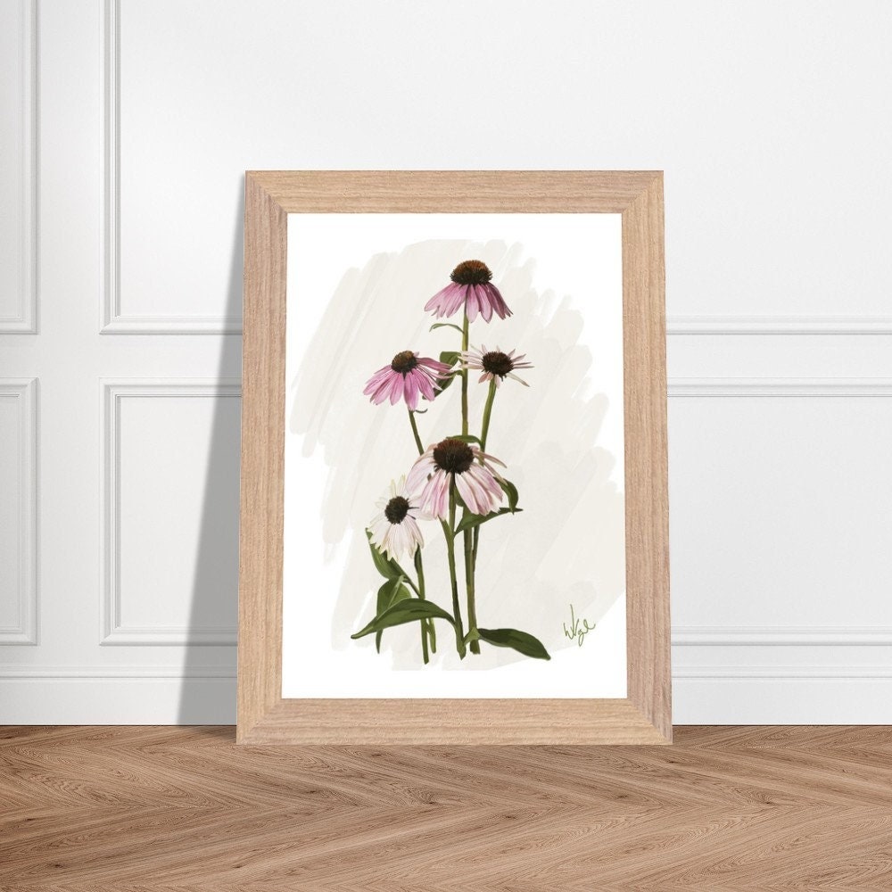 Boho Pink Echinacea Cone Flower | Framed Botanical Art Print