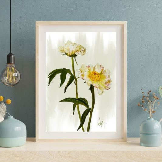 Boho White Peony Flowers |  Framed Botanical Art Print