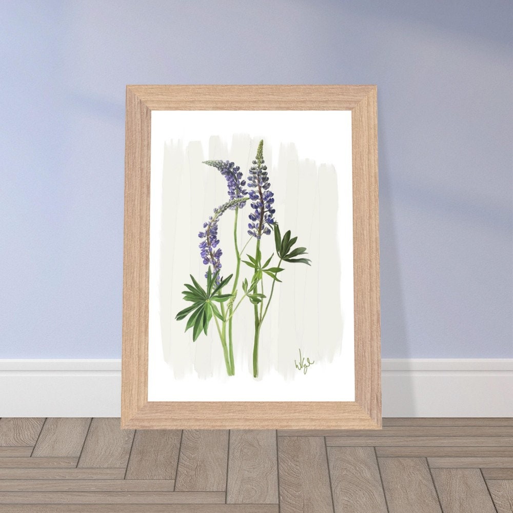 Vintage Purple Lupine Flower | Framed Botanical Art Print
